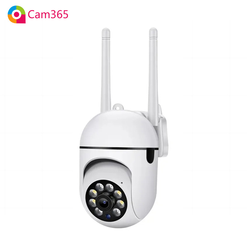 Y33-Cam365